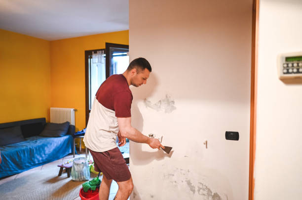Best DIY Mold Remediation Support Services in Toledo, OH